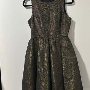 Zara Basic Metallic Gold & Black Brocade Dress